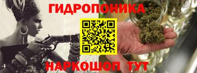 индика Будённовск