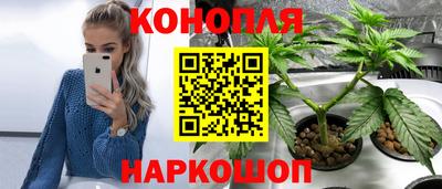 индика Будённовск