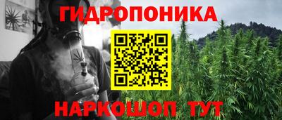 индика Будённовск