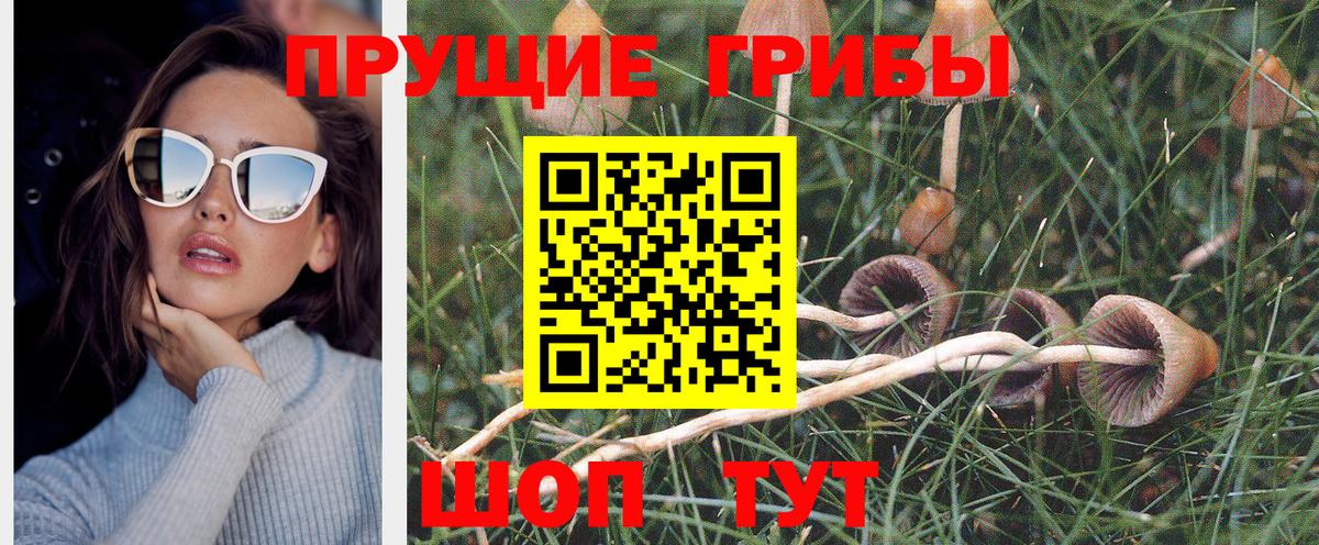 Галлюциногенные грибы ЛСД Лесной