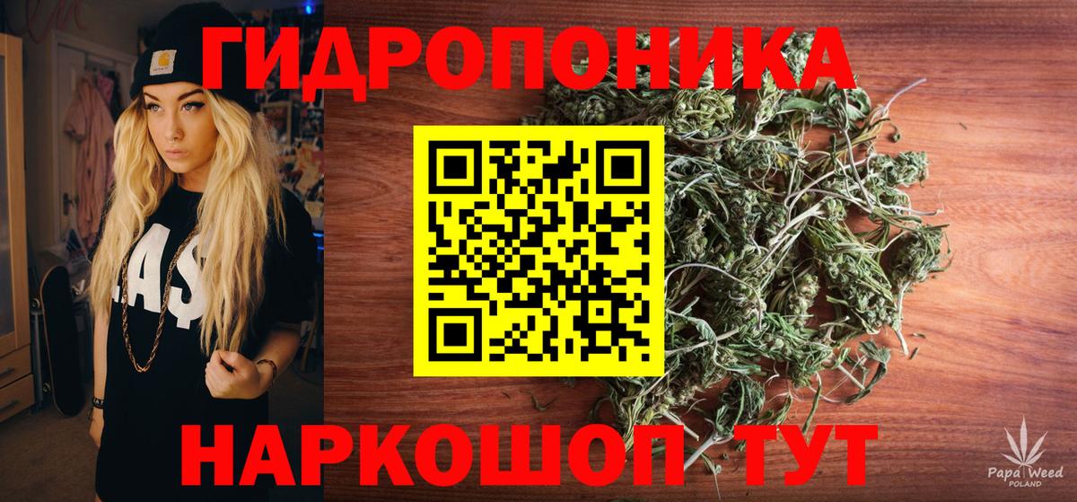 Бошки Шишки AK-47  Канабис индика  Лесной  Вход с VPN  Шишки марихуана LSD WEED 